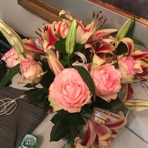 Meet your Posher, Cassie